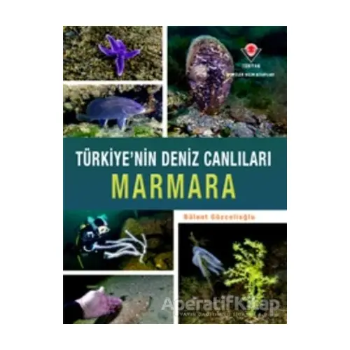 Marmara - Türkiyenin Deniz Canlıları - Bülent Gözcelioğlu - TÜBİTAK Yayınları