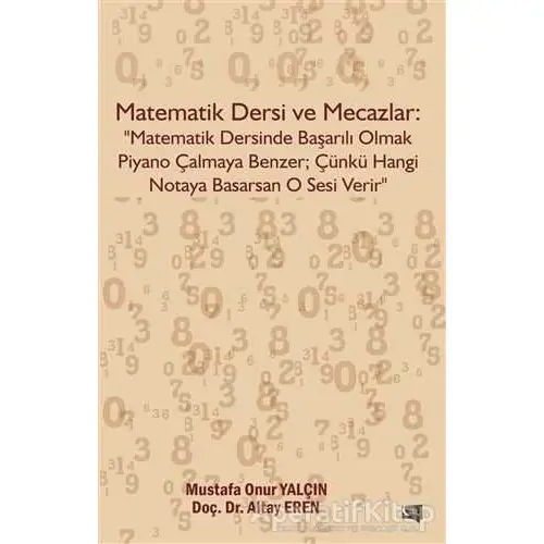 Matematik Dersi ve Mecazlar - Mustafa Onur Yalçın - Gece Kitaplığı