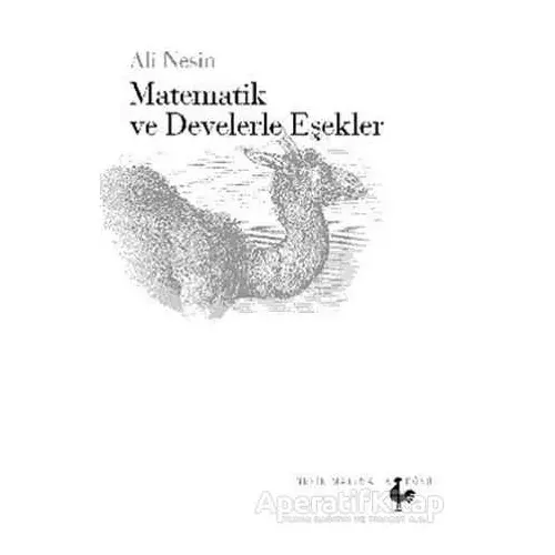 Matematik ve Develerle Eşekler - Ali Nesin - Nesin Yayınevi