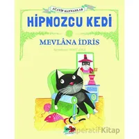 Hipnozcu Kedi - Mevlana İdris - Vak Vak Yayınları