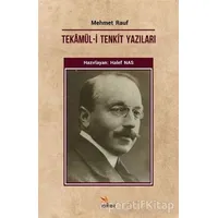 Tekamül-i Tenkit Yazıları - Mehmet Rauf - Kriter Yayınları