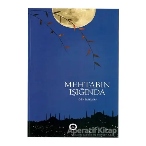 Mehtabın Işığında -Denemeler- - Kolektif - Diyanet İşleri Başkanlığı