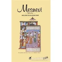 Mesnevi (Cilt 4 - 5 - 6) - Mevlana Celaleddin Rumi - Ayrıntı Yayınları