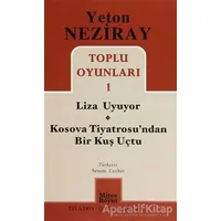 Toplu Oyunları 1 Liza Uyuyor - Kosova Tiyatrosundan Bir Kuş Uçtu