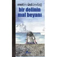 Bir Delinin Mal Beyanı - Metin Üstündağ - Çınar Yayınları