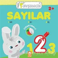 Sayılar - Küçük Tavşancık - Rasa Dmuchovskiene - Eksik Parça Yayınları