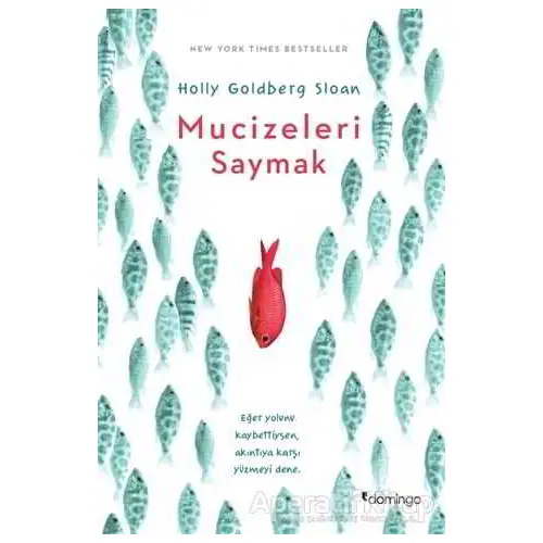 Mucizeleri Saymak - Holly Goldberg Sloan - Domingo Yayınevi