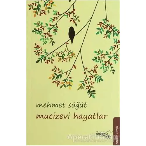 Mucizevi Hayatlar - Mehmet Söğüt - Sınırsız Kitap