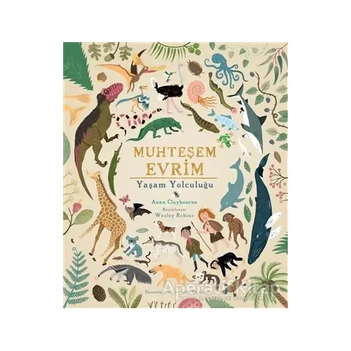 Muhteşem Evrim - Anna Claybourne - Martı Çocuk Yayınları