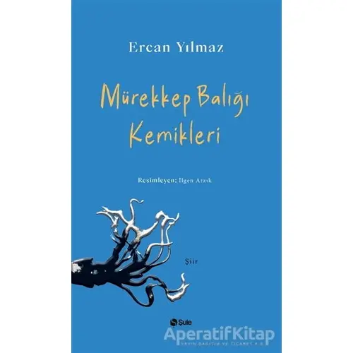 Mürekkep Balığı Kemikleri - Ercan Yılmaz - Şule Yayınları