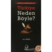 Türkiye Neden Böyle? - Ali Yürük - Sarkaç Yayınları