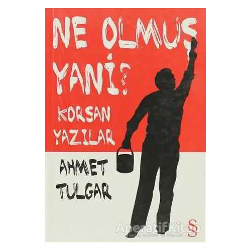 Ne Olmuş Yani? - Ahmet Tulgar - Everest Yayınları