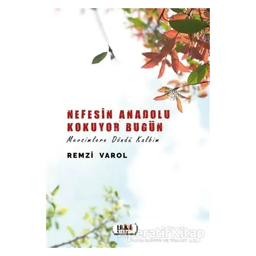 Nefesin Anadolu Kokuyor Bugün - Remzi Varol - Tilki Kitap