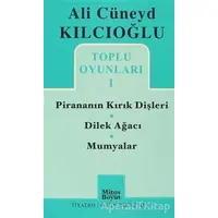 Toplu Oyunlar 1 - Ali Cüneyd Kılcıoğlu - Mitos Boyut Yayınları