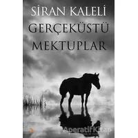 Gerçeküstü Mektuplar - Siran Kaleli - Cinius Yayınları