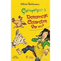 Çalısüpürgesi 3 - Denemeye Cesaretin Var mı? - Sabine Bohlmann - Kelime Yayınları