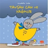 Tavşan Can ve Yağmur - Nicoletta Costa - Uçan Fil Yayınları