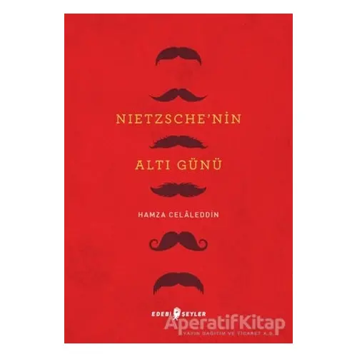 Nietzsche’nin Altı Günü - Hamza Celaleddin - Edebi Şeyler