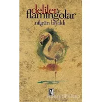 Deliler ve Flamingolar - Nilgün Bıyıklı - İz Yayıncılık