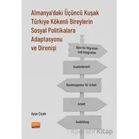 Almanyadaki Üçüncü Kuşak Türkiye Kökenli Bireylerin Sosyal Politikalara Adaptasyonu ve Direnişi