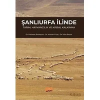 Şanlıurfa İlinde Tarım, Hayvancılık ve Kırsal Kalkınma - Numan Ertaş - Nobel Bilimsel Eserler