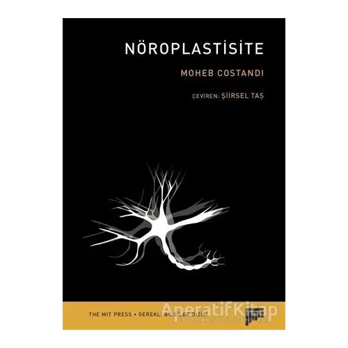 Nöroplastisite - Moheb Costandi - Pan Yayıncılık