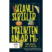 Uzaylı Sebzeler Müzikten Anlar Mı? - Zeynep Akyıldız - Cezve Çocuk