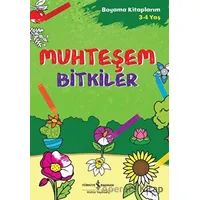 Muhteşem Bitkiler - Boyama Kitaplarım 3 - 4 Yaş - Ahu Ayan - İş Bankası Kültür Yayınları