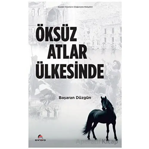 Öksüz Atlar Ülkesinde - Başaran Düzgün - Ekinoks Yayın Grubu