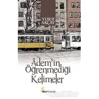 Ademin Öğrenmediği Kelimeler - Yusuf Akçay - Okur Kitaplığı