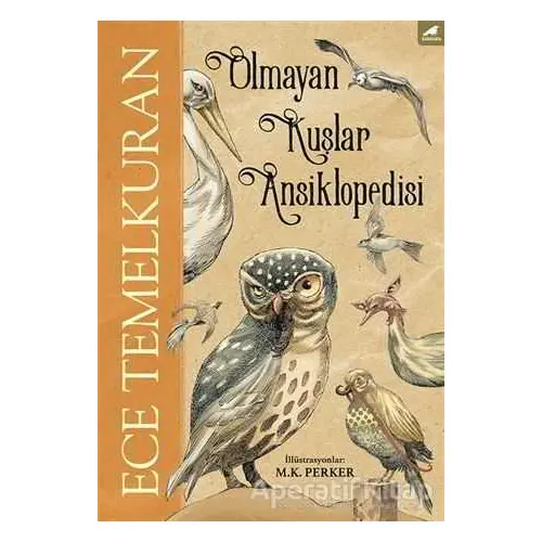 Olmayan Kuşlar Ansiklopedisi - Ece Temelkuran - Kara Karga Yayınları