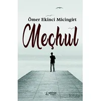 Meçhul - Ömer Ekinci Micingirt - Serüven Yayınevi