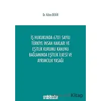 İş Hukukunda 6701 Sayılı Türkiye İnsan Hakları ve Eşitlik Kurumu Kanunu Bağlamında Eşitlik İlkesi ve