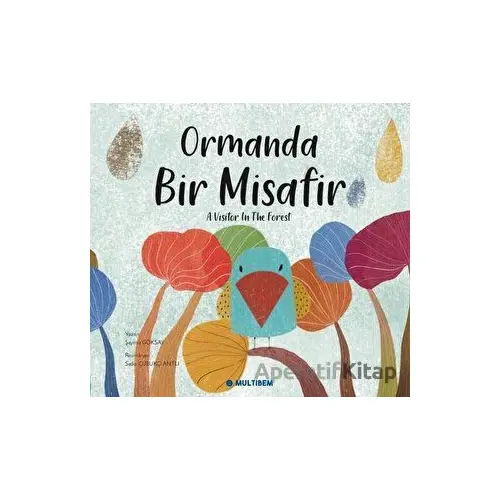 Ormanda Bir Misafir - A Visitor in the Forest - Şeyma Göksay - Multibem Yayınları