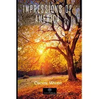 Impressions Of America - Oscar Wilde - Platanus Publishing