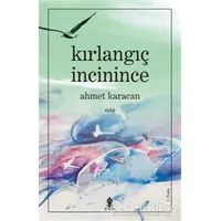 Kırlangıç İncinince - Ahmet Karacan - Roza Yayınevi