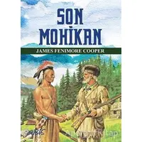 Son Mohikan - James Fenimore Cooper - Abis Yayıncılık