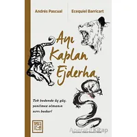 Ayı Kaplan Ejderha - Ecequiel Barricart - Athica Yayınları