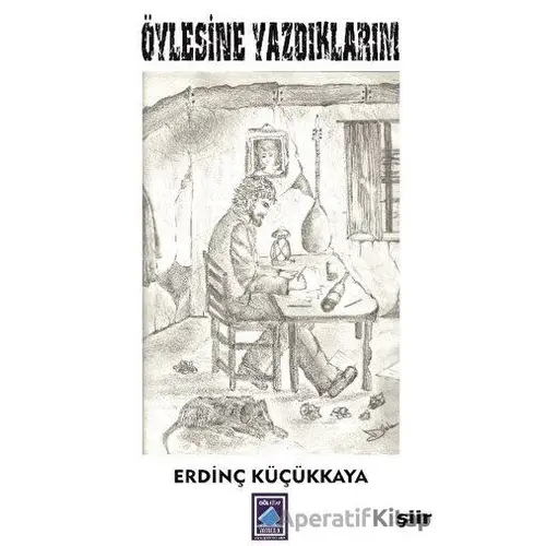 Öylesine Yazdıklarım - Erdinç Küçükkaya - Göl Yayıncılık