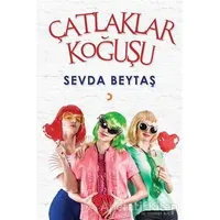 Çatlaklar Koğuşu - Sevda Beytaş - Cinius Yayınları