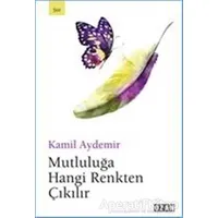 Mutluluğa Hangi Renkten Çıkılır - Kamil Aydemir - Ozan Yayıncılık