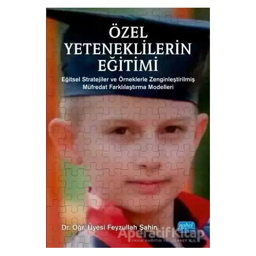 Özel Yeteneklilerin Eğitimi - Feyzullah Şahin - Nobel Akademik Yayıncılık