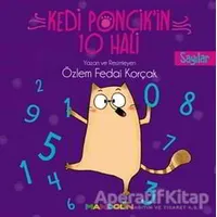 Sayılar - Kedi Ponçikin 10 Hali - Özlem Fedai Korçak - Mandolin Yayınları