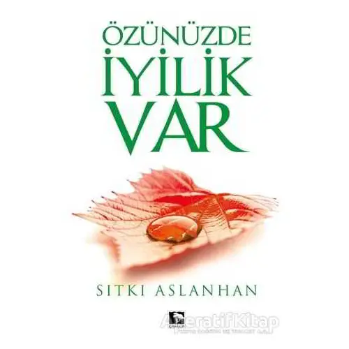 Özünüzde İyilik Var - Sıtkı Aslanhan - Çınaraltı Yayınları