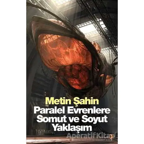 Paralel Evrenlere Somut ve Soyut Yaklaşım - Metin Şahin - Cinius Yayınları