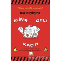 İçime Deli Kaçtı - Raif Çiçek - Parana Yayınları