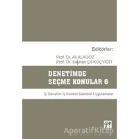 Denetimde Seçme Konular 6 - Seyhan Çil Koçyiğit - Gazi Kitabevi