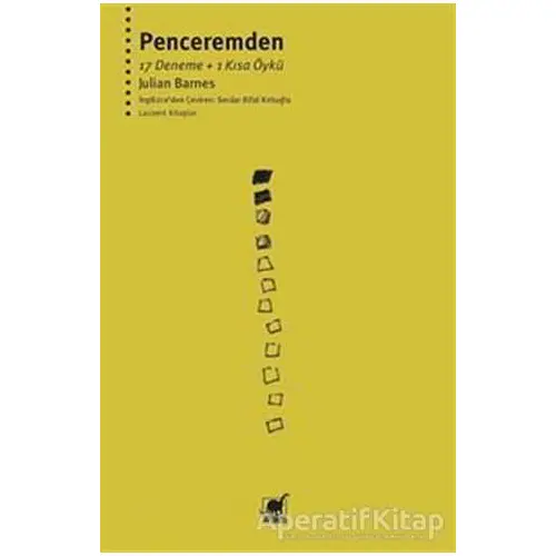 Penceremden - Julian Barnes - Ayrıntı Yayınları