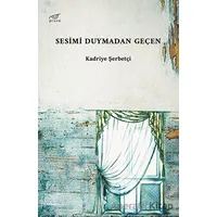 Sesimi Duymadan Geçen - Kadriye Şerbetçi - Pruva Yayınları