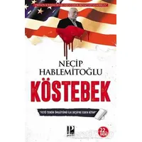 Köstebek - Necip Hablemitoğlu - Pozitif Yayınları